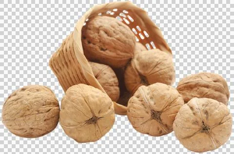 Walnut Stock Photos
