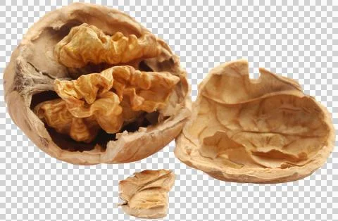 Walnut Stock Photos