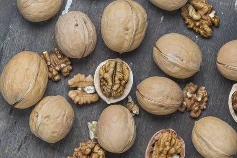 Walnut Stock Photos