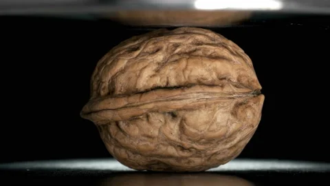 Walnut pressed with hydraulic press, close-up Stock-Footage 94942672