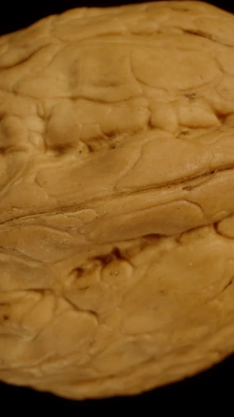 A walnut rotates and falls downward on a black background. Macro shot, isolated. Stock Footage 245917709