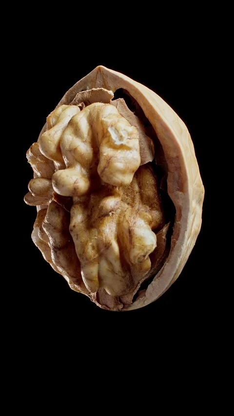 Walnut rotates at black background. Tasty nut levitates in air. Partially peeled Stock Footage 291449119