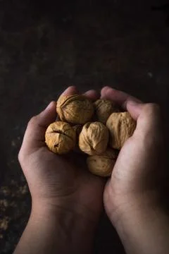 Walnut on rustic background Stock Photos