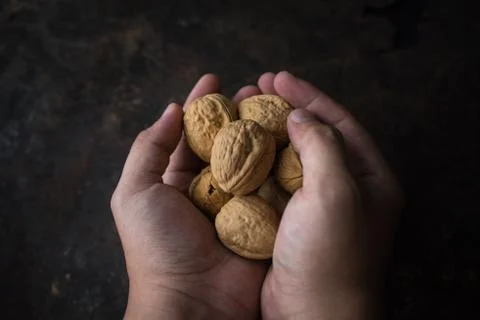 Walnut on rustic background Stock Photos