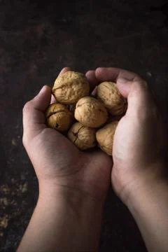 Walnut on rustic background Stock Photos