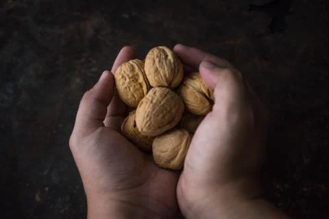 Walnut on rustic background Stock Photos