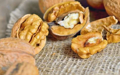 Walnut  on the sackcloth background Stock Photos