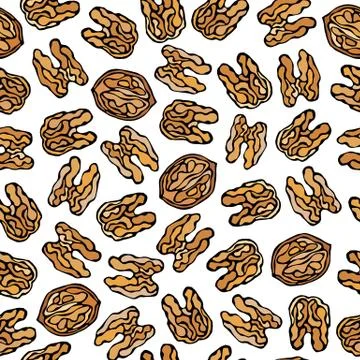 Walnut Seamless Endless Pattern. Whole Peeled Walnuts. Autumn or Fall Harvest Stock Illustration