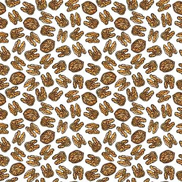 Walnut Seamless Endless Pattern. Whole Peeled Walnuts. Autumn or Fall Harvest Illustrazione stock