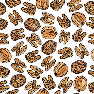 Walnut Seamless Endless Pattern. Whole and Peeled Walnuts. Autumn or Fall Har Stock Illustration