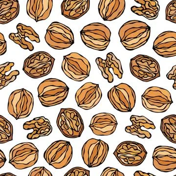 Walnut Seamless Endless Pattern. Whole and Peeled Walnuts. Autumn or Fall Har Stock Illustration