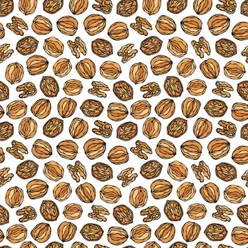 Walnut Seamless Endless Pattern. Whole and Peeled Walnuts. Autumn or Fall Har Stock Illustration