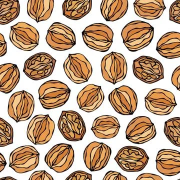Walnut Seamless Endless Pattern. Whole and Peeled Walnuts. Autumn or Fall Har Illustrazione stock