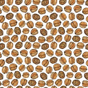 Walnut Seamless Endless Pattern. Whole and Peeled Walnuts. Autumn or Fall Har Illustrazione stock