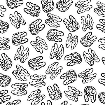 Walnut Seamless Endless Pattern. Whole Peeled Walnuts. Autumn or Fall Harvest Illustrazione stock