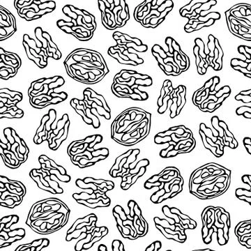 Walnut Seamless Endless Pattern. Whole Peeled Walnuts. Autumn or Fall Harvest Stock Illustration