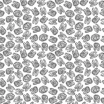 Walnut Seamless Endless Pattern. Whole Peeled Walnuts. Autumn or Fall Harvest Stock Illustration