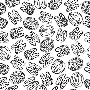 Walnut Seamless Endless Pattern. Whole and Peeled Walnuts. Autumn or Fall Har 스톡 일러스트