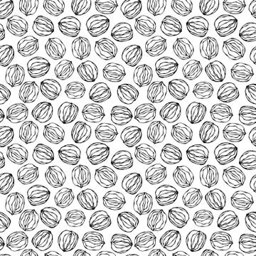 Walnut Seamless Endless Pattern. Whole and Peeled Walnuts. Autumn or Fall Har Stock Illustration