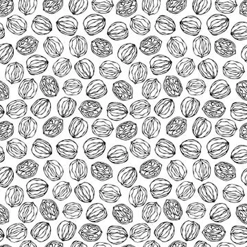 Walnut Seamless Endless Pattern. Whole and Peeled Walnuts. Autumn or Fall Har Illustrazione stock