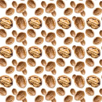 Walnut seamless pattern backdrop. Open nut shell and kernel on white background Stock Photos