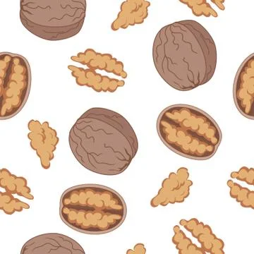 Walnut Seamless Pattern Vector in Flat Design Stock Illustration