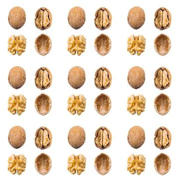 Walnut seamless pattern. Walnut whole and opened on a white background Stock Photos