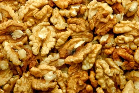Walnut seeds Stock Photos