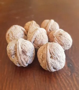 Walnut seeds on a table in view Stock Photos