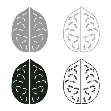 Walnut set icon grey black color vector illustration image solid fill outli.. Stock Illustration