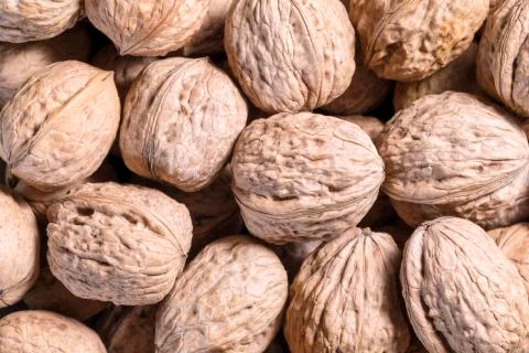 Walnut Shell Background Stock Photos