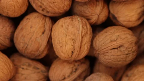 Walnut in shell close up. Nuts texrure. Stock Footage 217930680