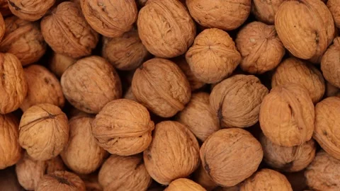 Walnut in shell close up. Nuts texrure. Stock Footage 217930687