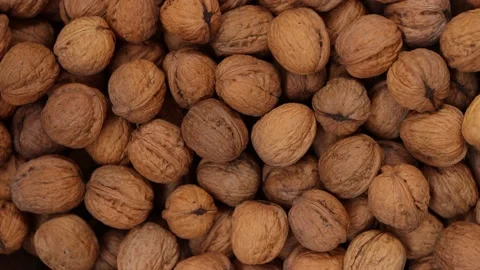 Walnut in shell close up. Nuts texture. Walnut background. Stock Footage 223335070