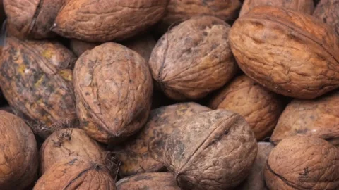 Walnut in the shell close-up rotates. Stock Footage 219824050