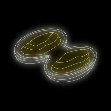 Walnut shell halves glowing neon icon on black background Stock Illustration