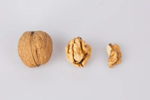 Walnut in shell isolated on white background. Energy boost for the day. The.. Stock Photos