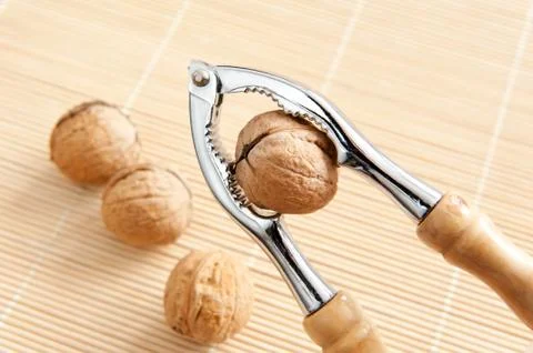 Walnut in shell in nutcracker and more walnuts Stock Photos