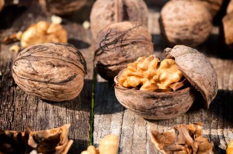 Walnut in shell Foto stock