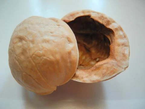 Walnut shell Stock Photos