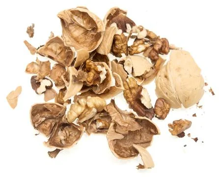 Walnut shell Stock Photos