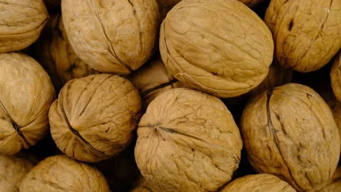 Walnut shell top Stock-Footage 137627308