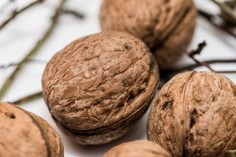 Walnut in shell on white background Stock Photos