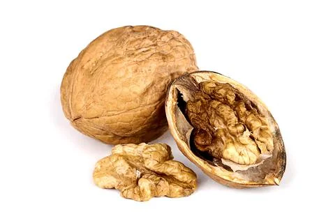 Walnut in shell, without shell and chopped 库存照片