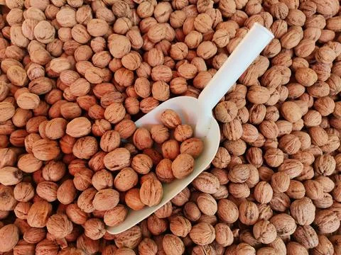 Walnut. Shelled walnuts. Stock Photos