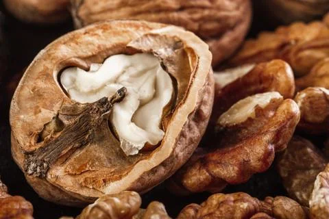 Walnut in shells and peeled Foto stock
