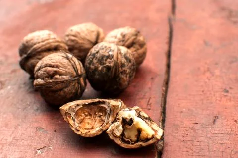 Walnut shells closeup Stock Photos