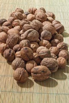 Walnut in shells Stock Photos