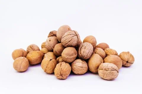 Walnut slide on a white background Stock Photos