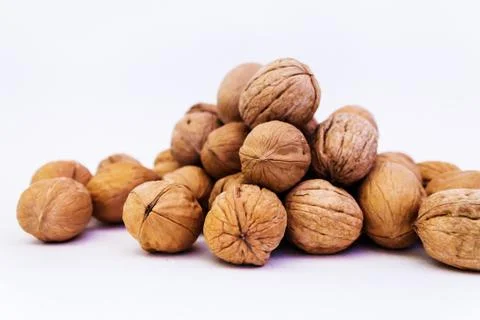 Walnut slide on a white background Stock Photos